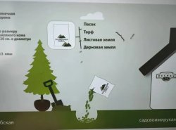 img (4)